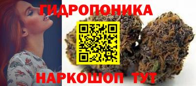 спиды Краснознаменск