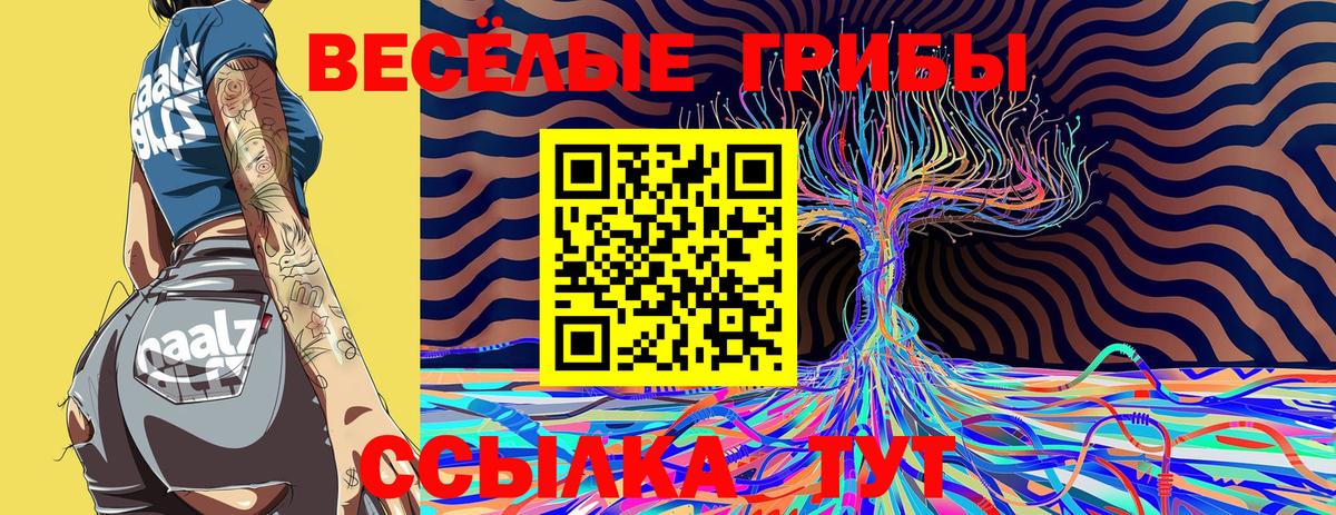 Псилоцибиновые грибы ЛСД Ишим