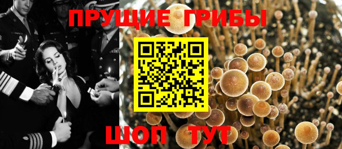 Ишим  Псилоцибиновые грибы Magic Shrooms  Вход с VPN 